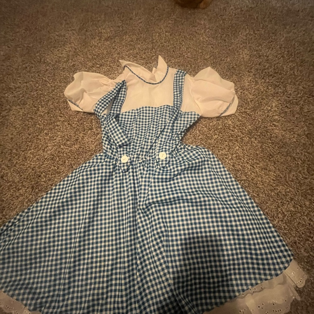Dorthy costume
